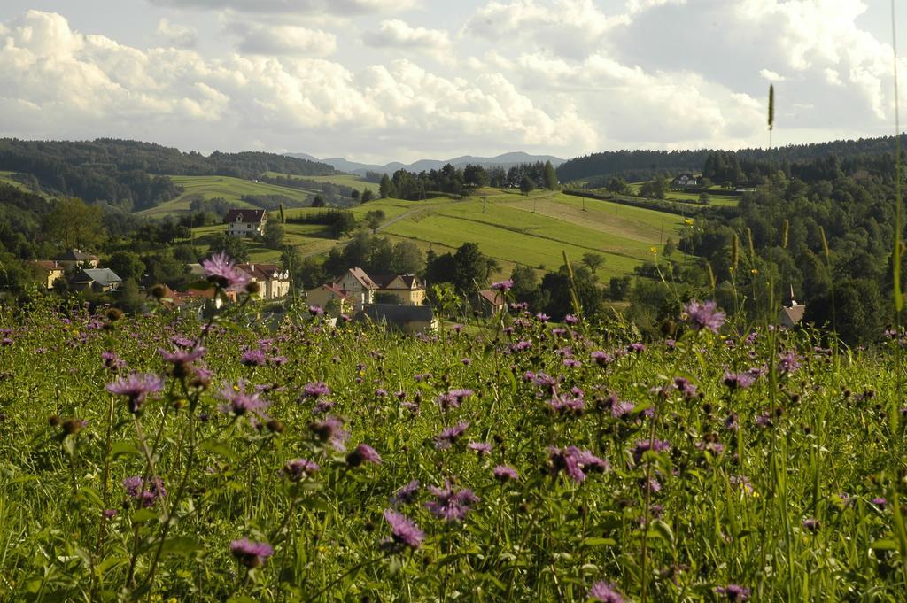 Bialy Wierch Bieszczady Apartment Polanczyk Luaran gambar